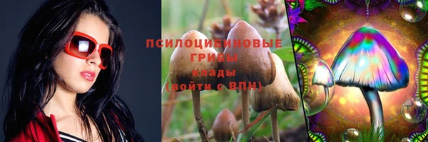 крисы Абдулино