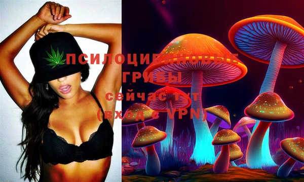 таблы Абинск